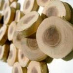 Cedar Wood Tree Branch Slices 150 Piece Wholesale..